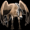 /album/fenykepgaleria/howrse-png/