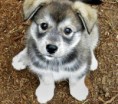 /album/fenykepgaleria/awwwwwwww-jpg/