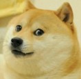 /album/fenykepgaleria/doge-jpeg/
